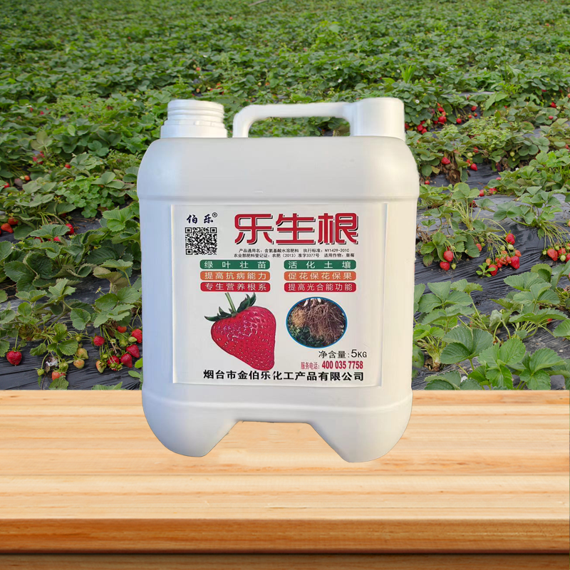 樂(lè)生根